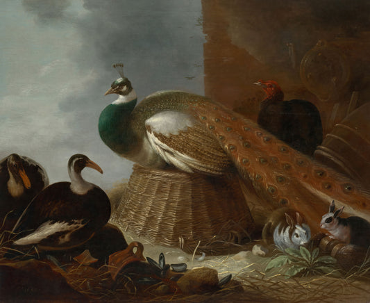 Peacock among other birds and animals in a natural setting